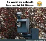 Du-bist-zu-schnell-gefahren.jpg auf www.funpot.net