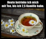Bis-zu-2,5-Kamille.jpg auf www.funpot.net