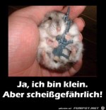 Saugefhrlich.jpg auf www.funpot.net