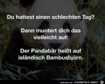 Der-Pandabr.jpg auf www.funpot.net