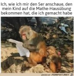 Erst-mal-checken.jpg auf www.funpot.net