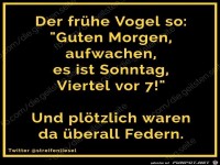 früher Vogel
