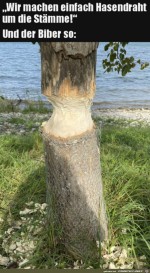 Ist-dem-Biber-egal.jpg auf www.funpot.net
