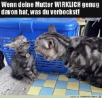 Deine-Mutter-hat-jetzt-genug.jpg auf www.funpot.net