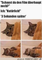 Guckst-den-Film-berhaupt-noch?.jpg auf www.funpot.net
