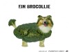 weiter