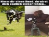 weiter