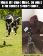 Sicher-fhlen-mit-Hund.jpg auf www.funpot.net