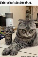 Der-Sohn-guckt-wie-der-Vater.jpg auf www.funpot.net