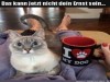weiter