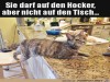 weiter