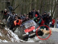 Voller Einsatz