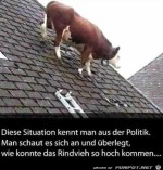 Wie-in-der-Politik.jpg auf www.funpot.net