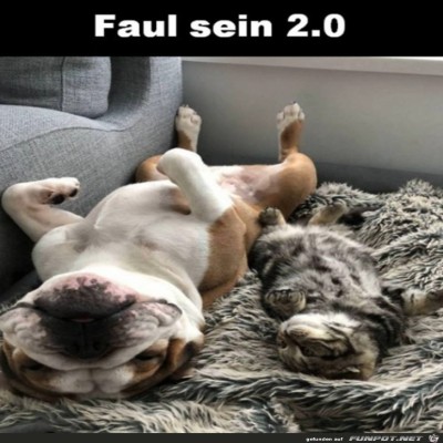 Die-beiden-sind-faul.jpg von Lasse