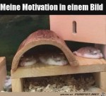 Meine-Motivation.jpg auf www.funpot.net