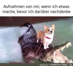Keine-gute-Idee.jpg auf www.funpot.net