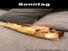 weiter