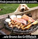 Dieser-Hundeblick.jpg auf www.funpot.net