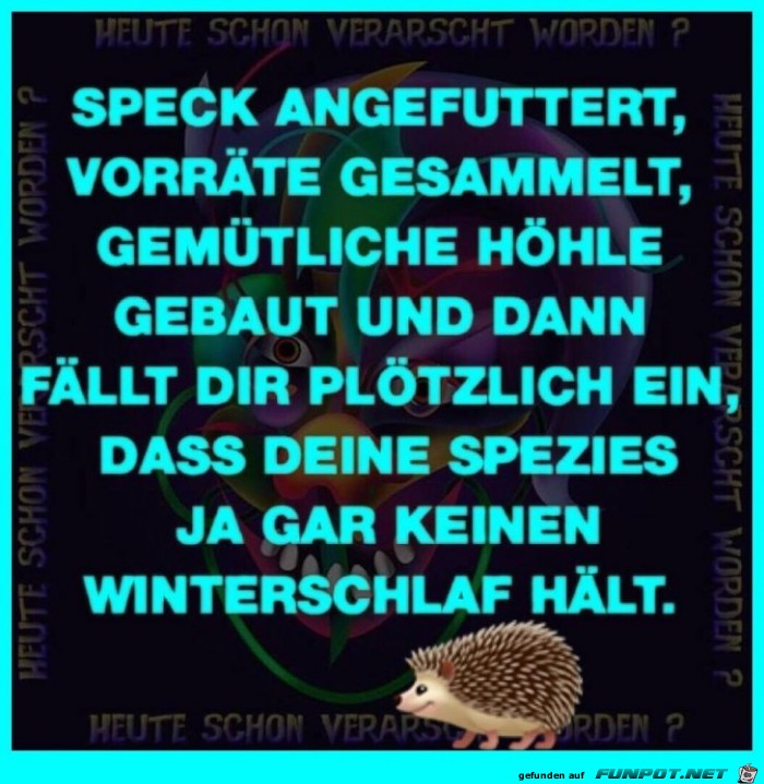 Winterschlaf Winterschlaf