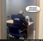 Hund-bei-der-Polizei.jpg auf www.funpot.net