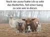weiter