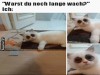 weiter
