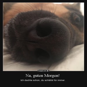 Begrüßungsbild