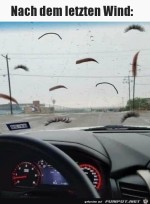 Vom-Winde-verwehte-Brauen-und-Wimpern.jpg auf www.funpot.net