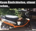 Kaum-hnlichkeiten.jpg auf www.funpot.net
