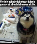 Er-bereut-nichts.jpg auf www.funpot.net