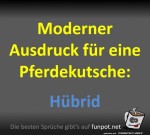 Die-Pferdekutsche.jpg auf www.funpot.net