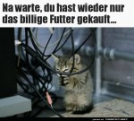 Das-wirst-du-ben.jpg auf www.funpot.net