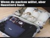 weiter