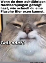 Stolzer-Kater.jpg auf www.funpot.net