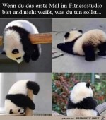 Das-erste-mal-im-Fitnessstudio.jpg auf www.funpot.net