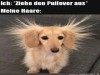 weiter