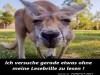 weiter