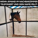 Telefonat-gehrt.jpg auf www.funpot.net