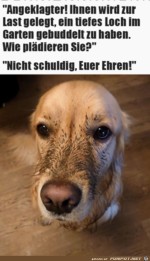 Nicht-schuldig.jpg auf www.funpot.net