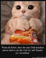 Ich-mache-keine-Dit.jpg auf www.funpot.net