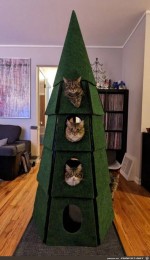 Katzenbaum.jpg auf www.funpot.net