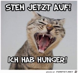 Steh-sofort-auf.jpg auf www.funpot.net