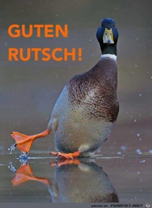 Guten-Rutsch.jpg auf www.funpot.net