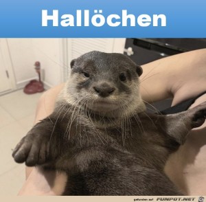 Begrüßungsbild