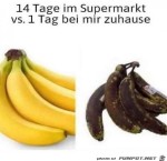 Bse-Bananen.jpg auf www.funpot.net