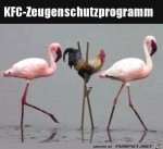 Zeugenschutzprogramm.jpg auf www.funpot.net