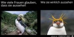 Feiner-Unterschied.jpg auf www.funpot.net
