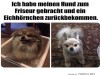 weiter