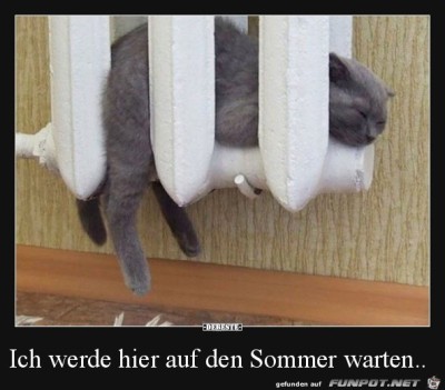 warten-auf-den-Sommer.......jpg von Edith