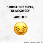 Lustiges-Emoji.jpg auf www.funpot.net